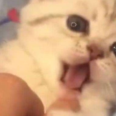 解忧男声营业中