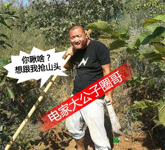 电家大公子占山头