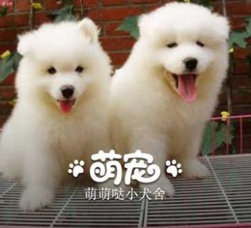 无聊到天边直播间_无聊到天边视频直播 -上YY