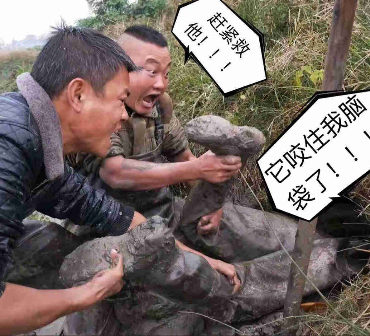 史前巨货即将出世