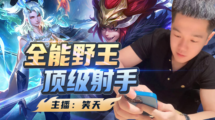 我自踏雪至山巅