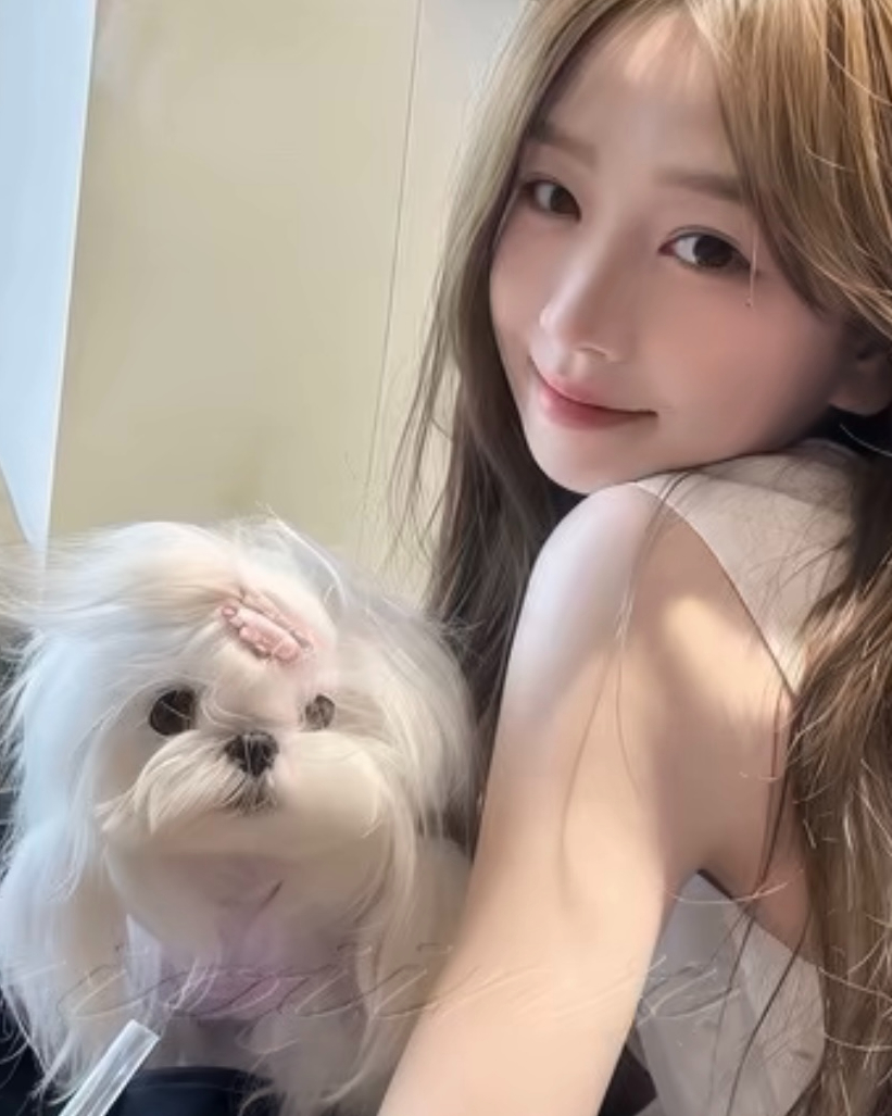 亲爱的你想念我吗