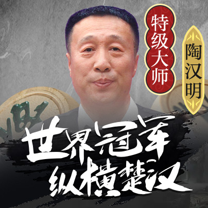 象棋特级大师-陶汉明