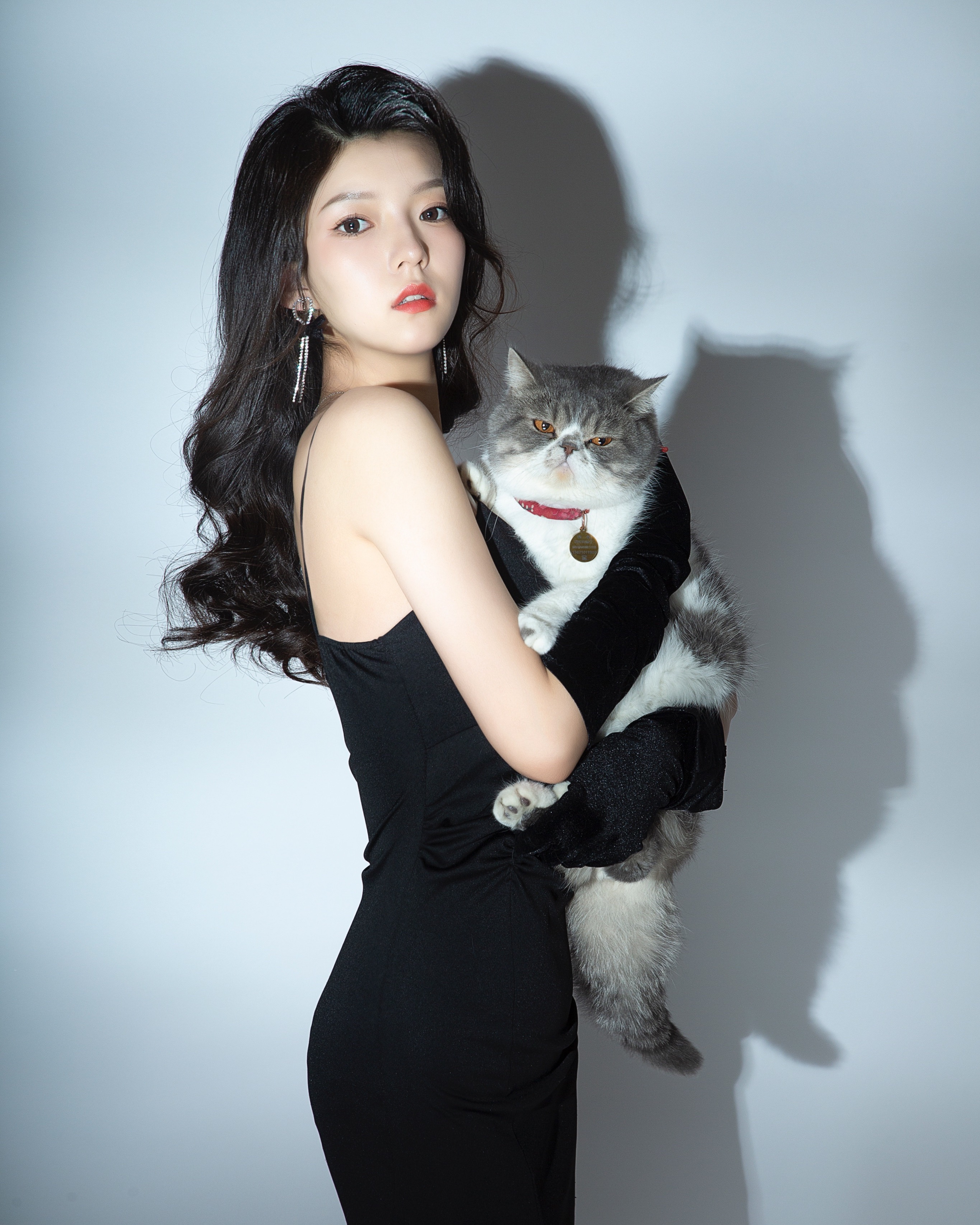 「御景」- 诗涵